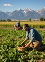 Camo Colorado “C” SnapBack